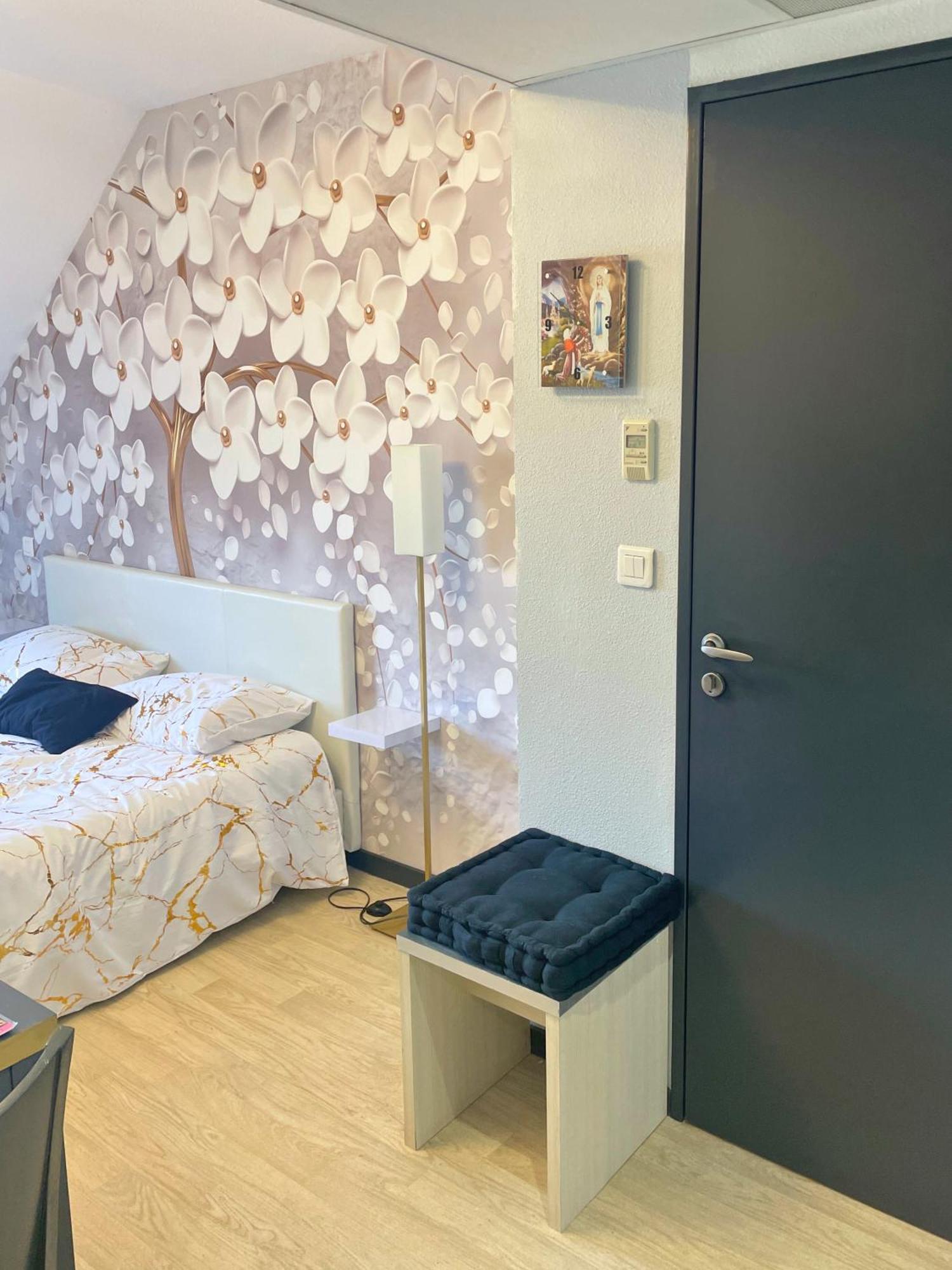 Apartment Reve Dore Equipe, Wifi, Unique Lourdes